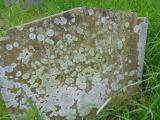 image of grave number 957957